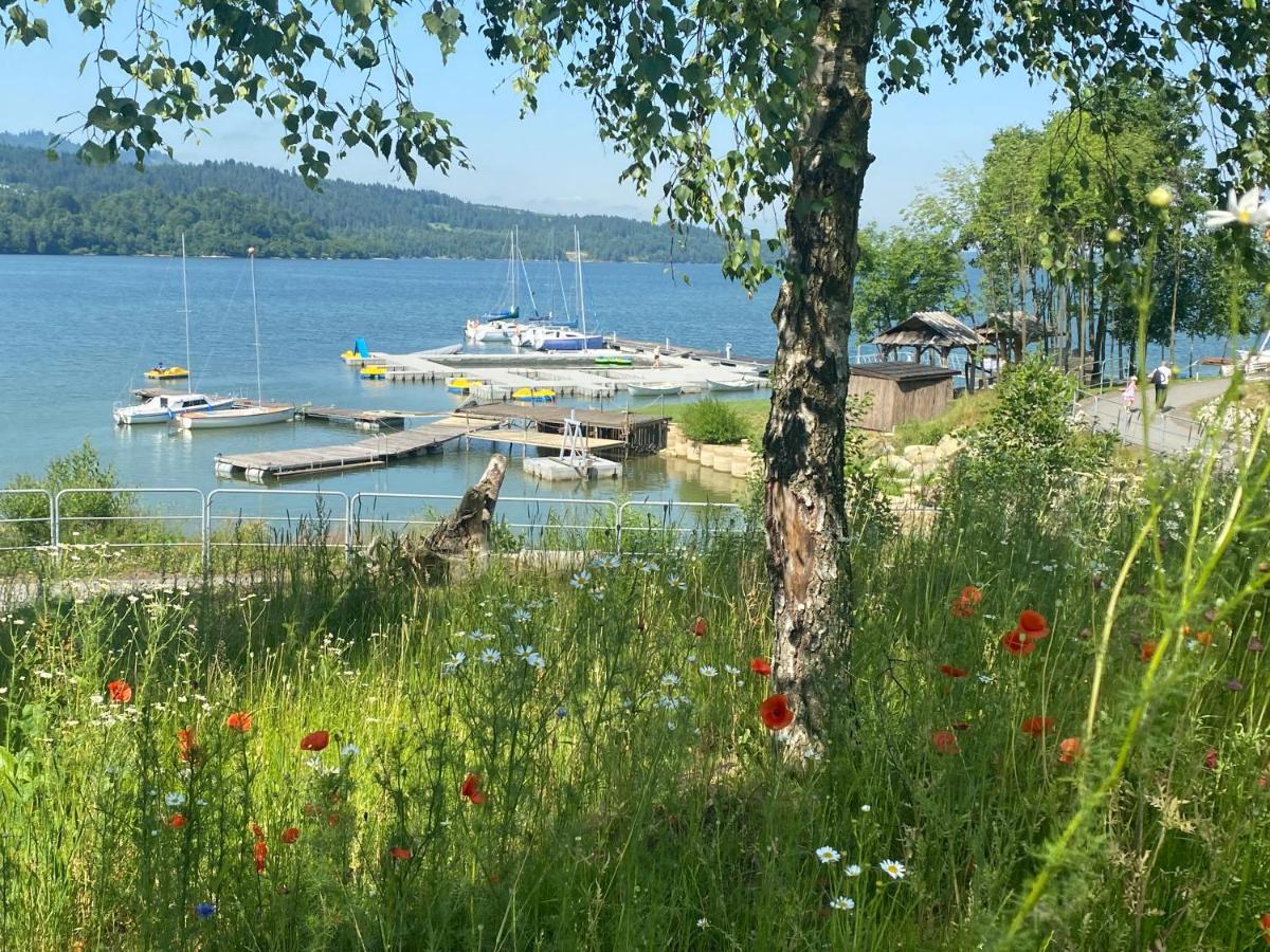 Apartament Czorsztyn Lake & Ski ภายนอก รูปภาพ